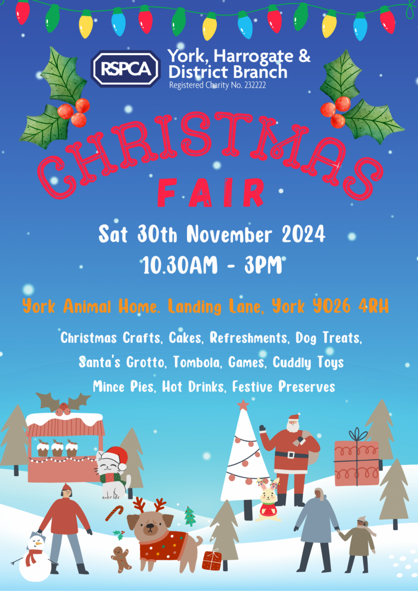 Christmas Market Poster (3)