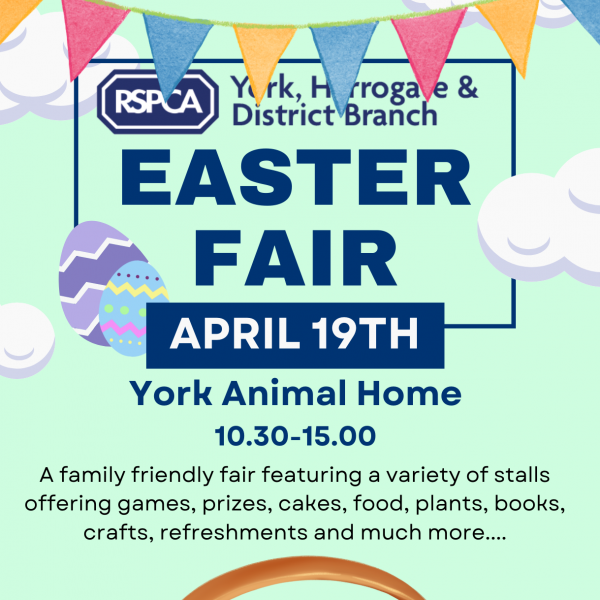 Easter Fair Flyer