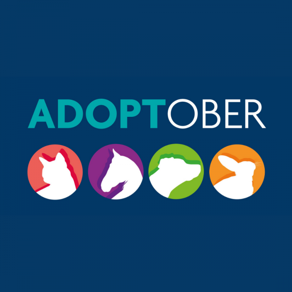 Adoptober Icon