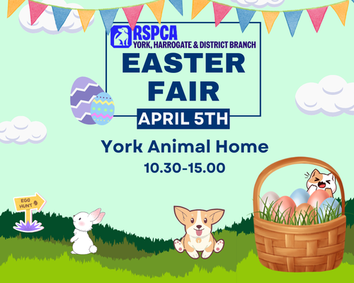 Easter Fair Web Iamage