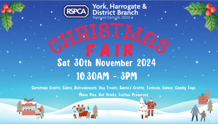 Christmas Fair Banner24